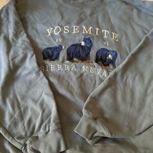 Brandy Melville Green Sweatshirt with Yosemite Design